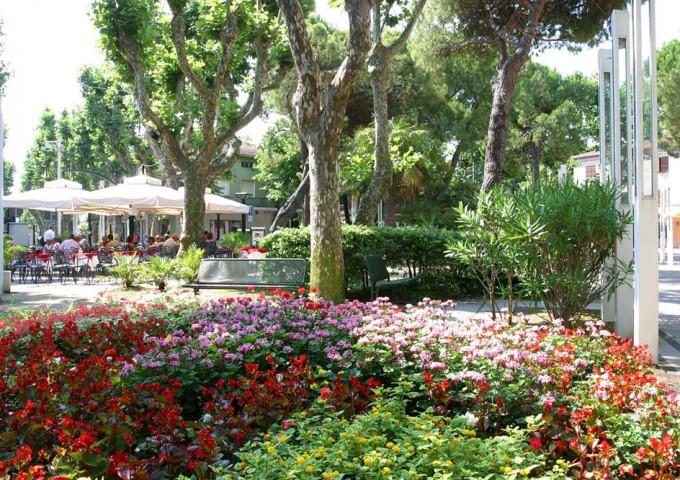 media.isola-dei-platani-fiorita