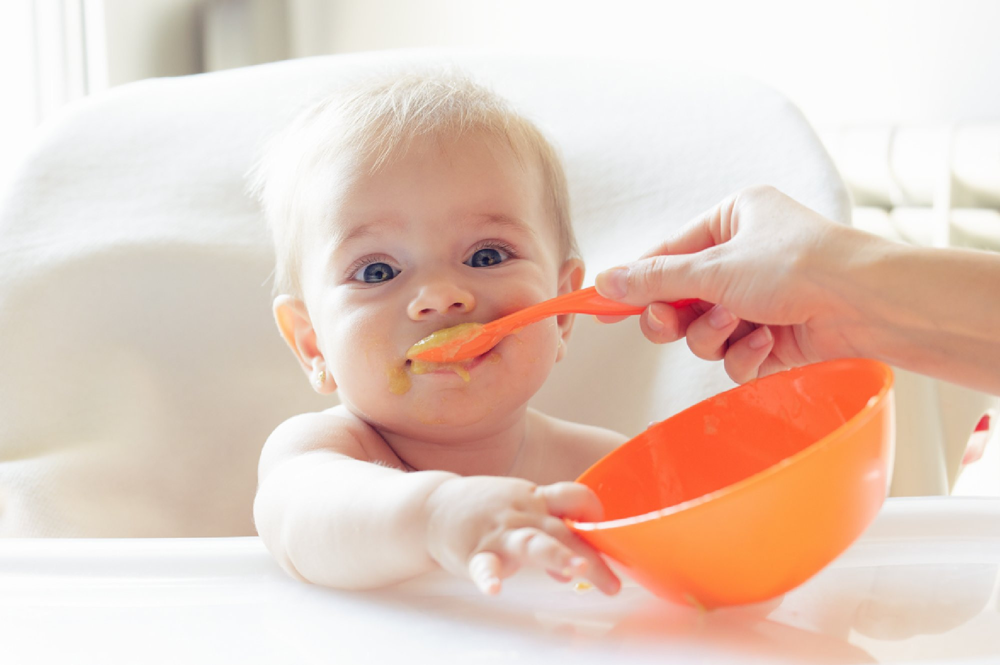 media.Family_Hotel_Con_Baby_Cucina_Rosa_Maria_Elite